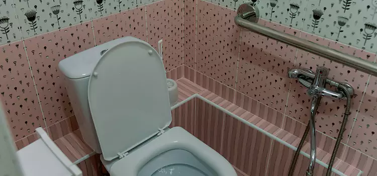 Meeting Diverse Needs With Accessible Restroom Solutions in San Buenaventura (Ventura), CA